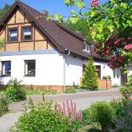 Fewo Im Herzen Der Insel Lägenhet Bergen Auf Rugen Exteriör bild